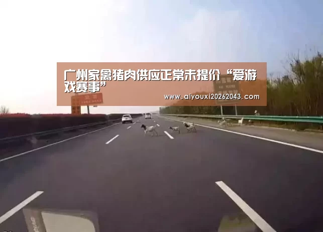 广州家禽猪肉供应正常未提价“爱游戏赛事”