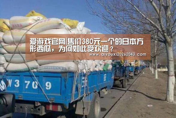 爱游戏官网|售价380元一个的日本方形西瓜,为何如此受欢迎?(图3) 爱游戏赛事