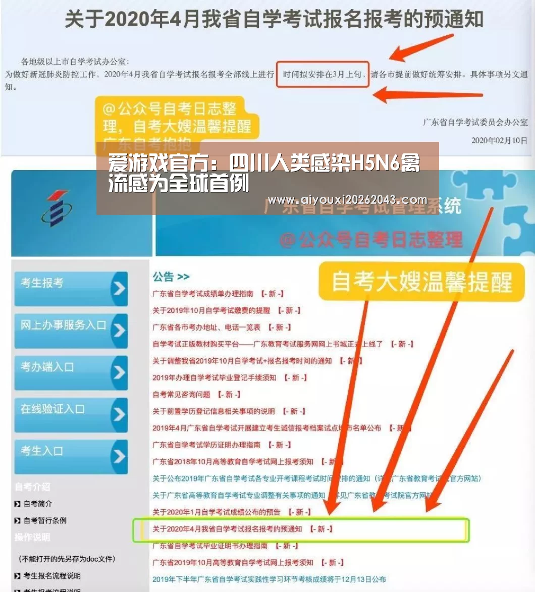 爱游戏赛事