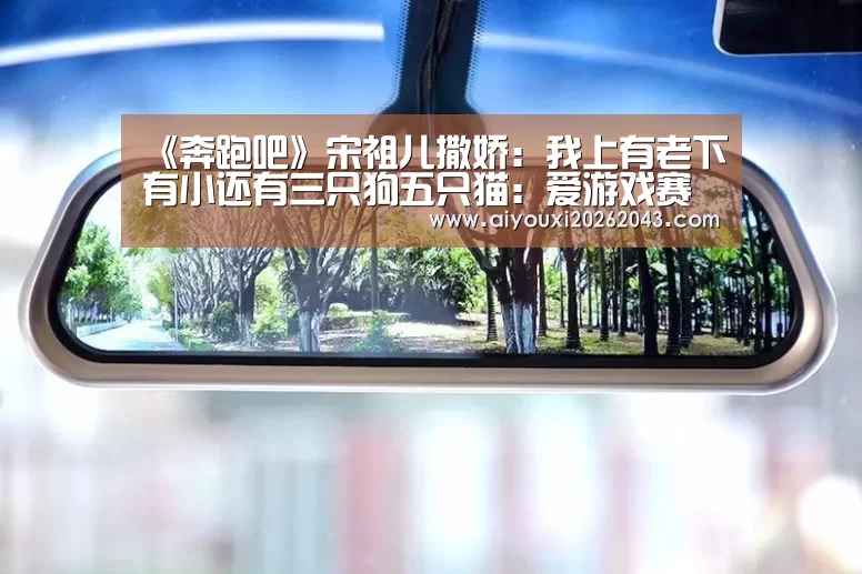 爱游戏赛事