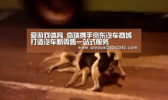 爱游戏体育_奇瑞携手京东汽车商城 打造汽车新零售一站式服务(图2) 爱游戏官方