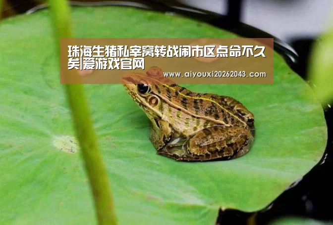 珠海生猪私宰窝转战闹市区点命不久矣|爱游戏官网(图2) 爱游戏官方