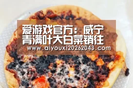 爱游戏官方:威宁青满叶大白菜销往广西重庆(图2) 爱游戏体育