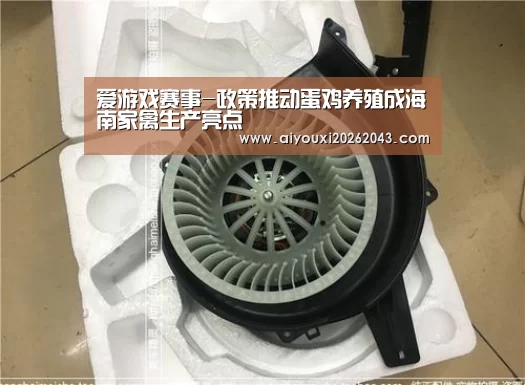 爱游戏体育